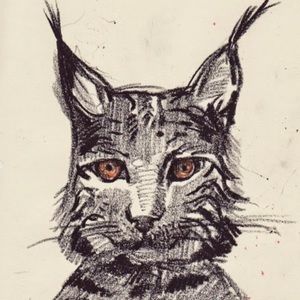 Meet your Posher, Jon